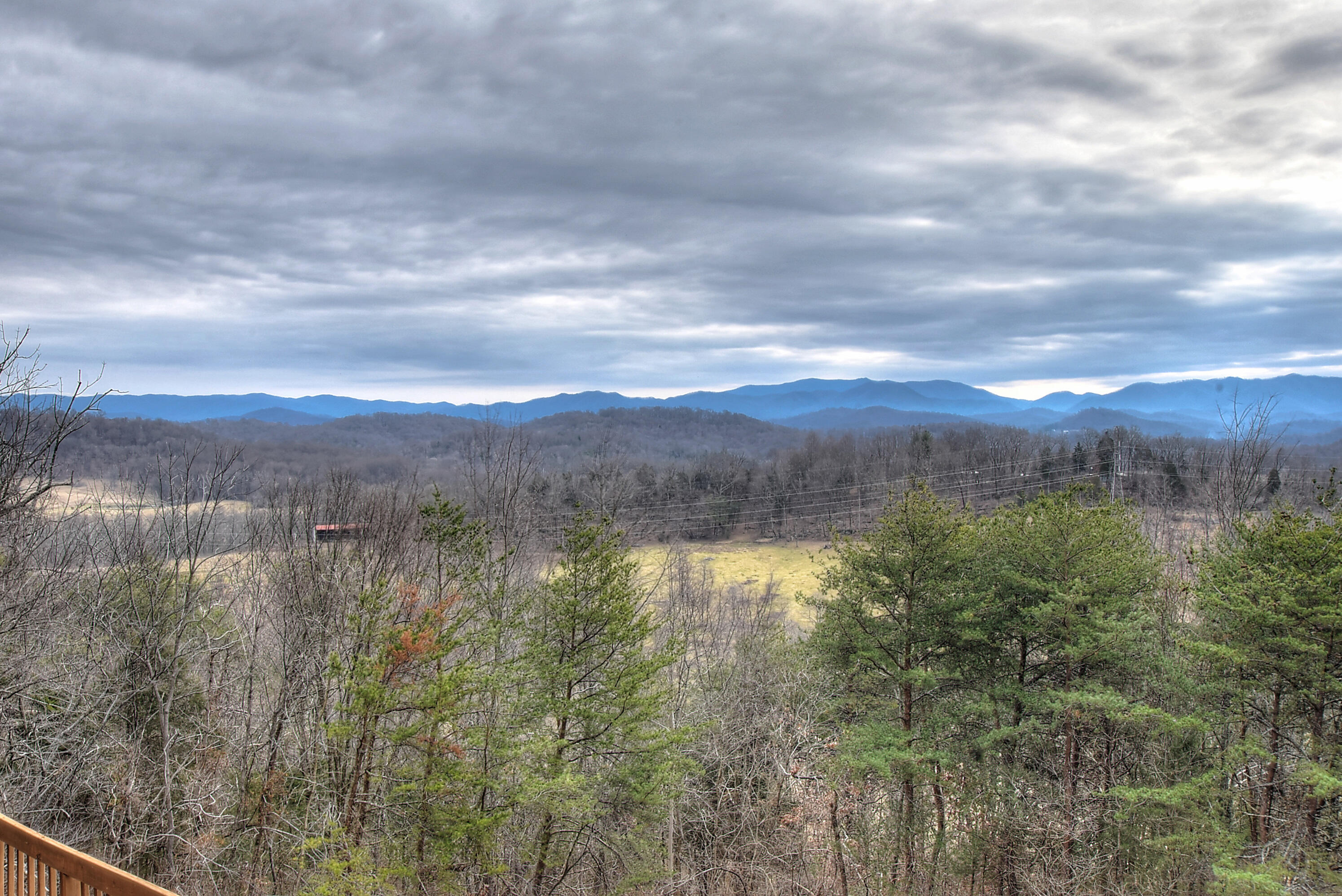 303 Dalewood Road Johnson City, TN 37601 - Photo 16 of 100 16