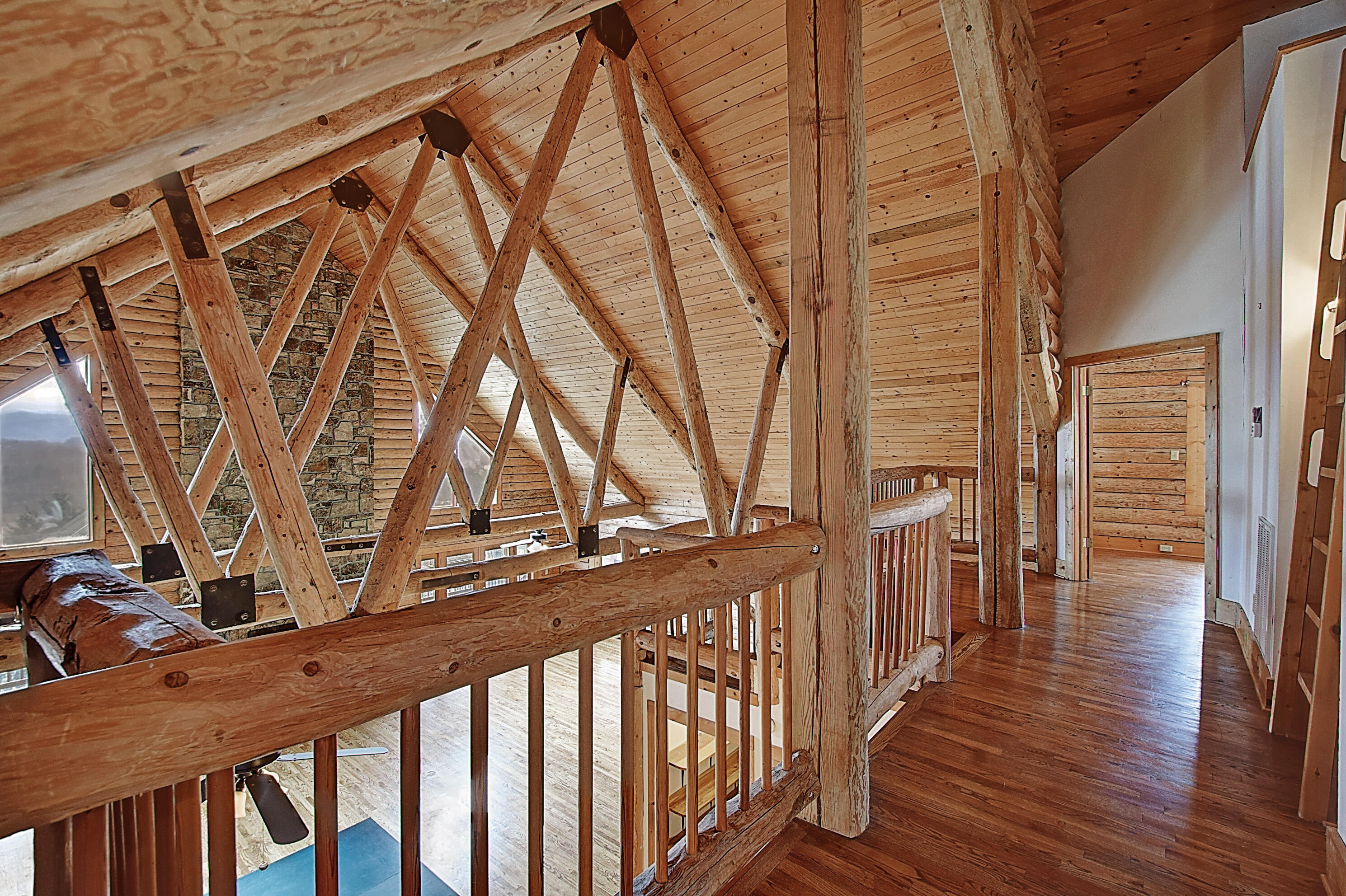 303 Dalewood Road Johnson City, TN 37601 - Photo 40 of 100 DSC_0235And8more