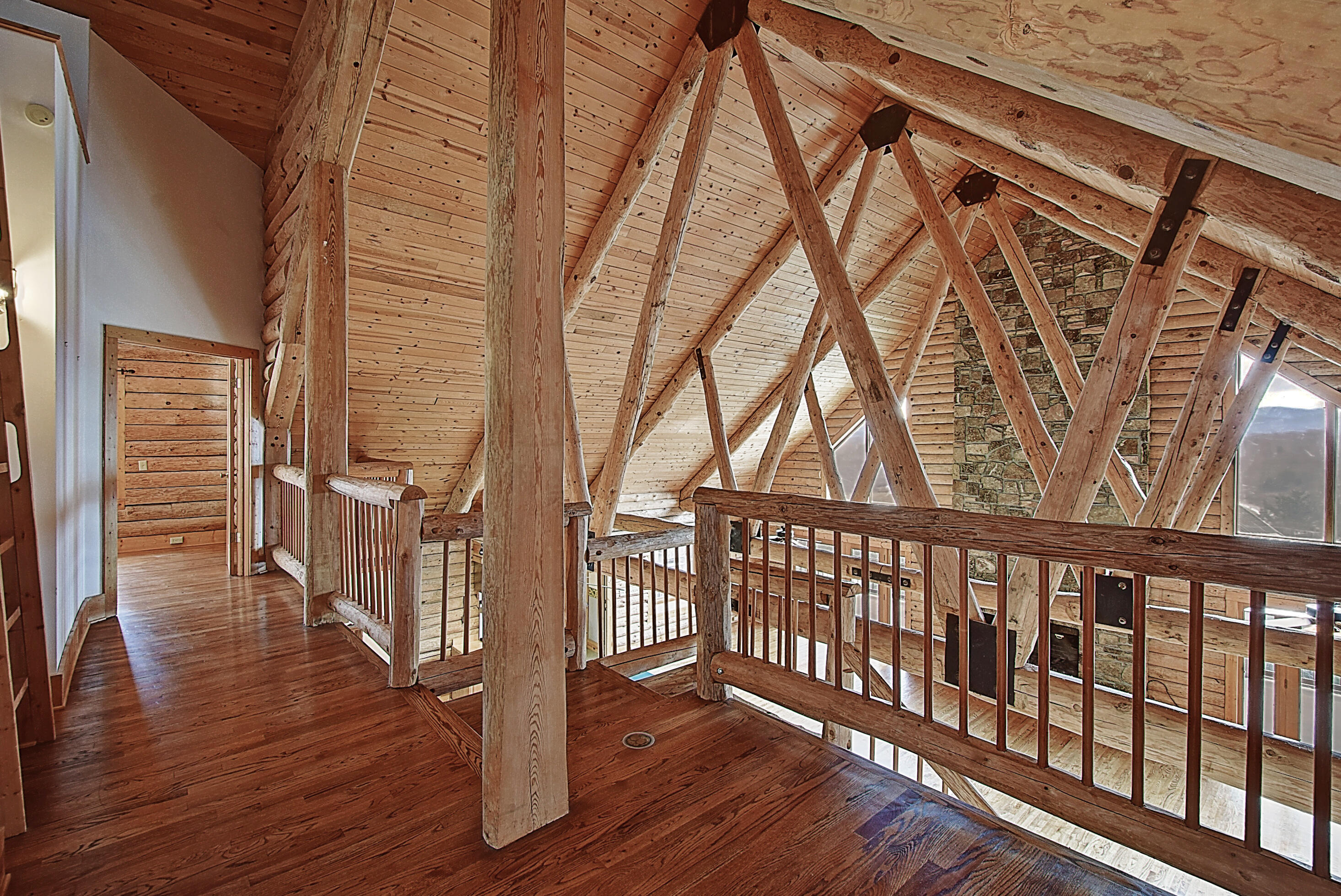 303 Dalewood Road Johnson City, TN 37601 - Photo 41 of 100 DSC_0244And8more