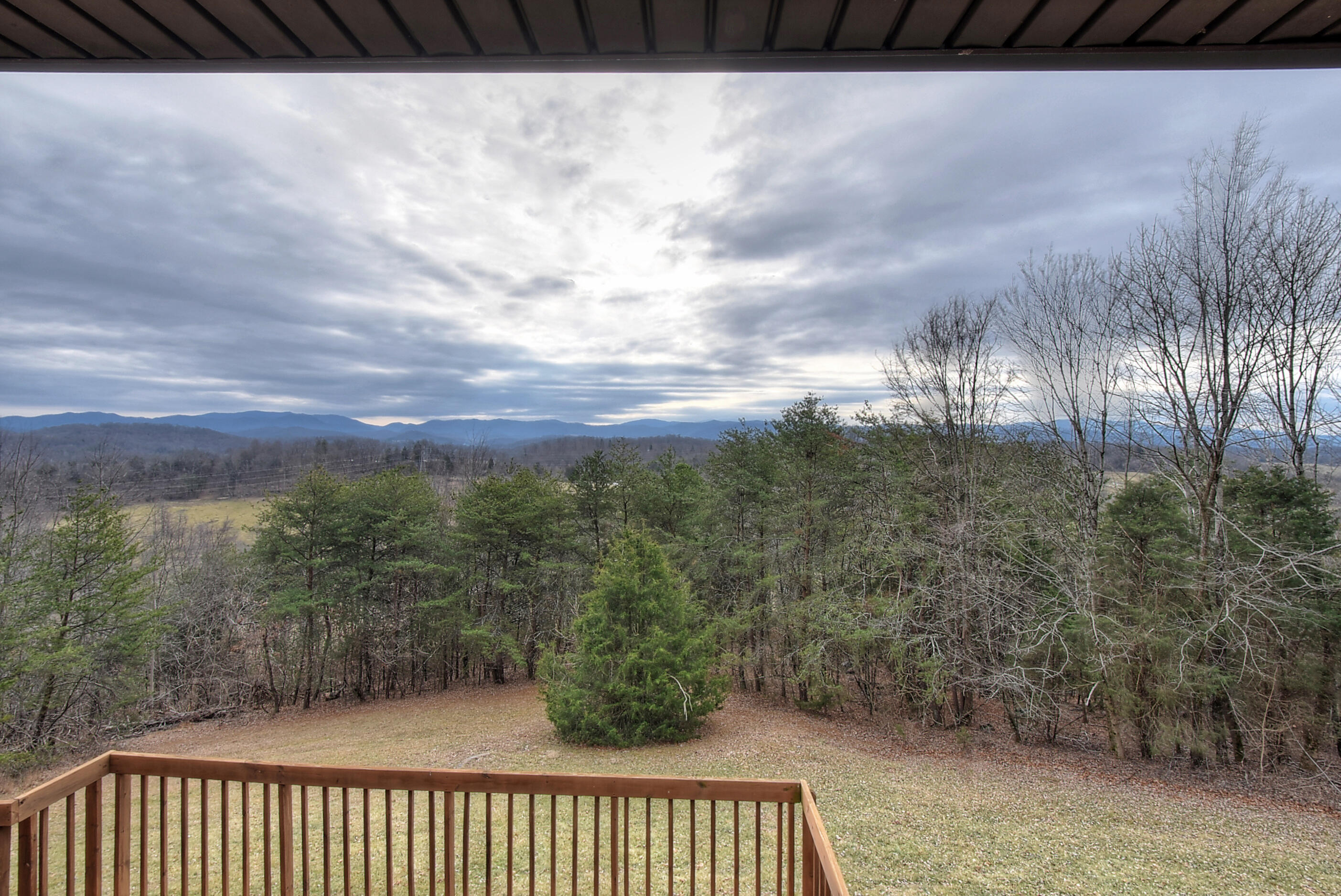 303 Dalewood Road Johnson City, TN 37601 - Photo 62 of 100 DSC_0442_3_4_5_6_7