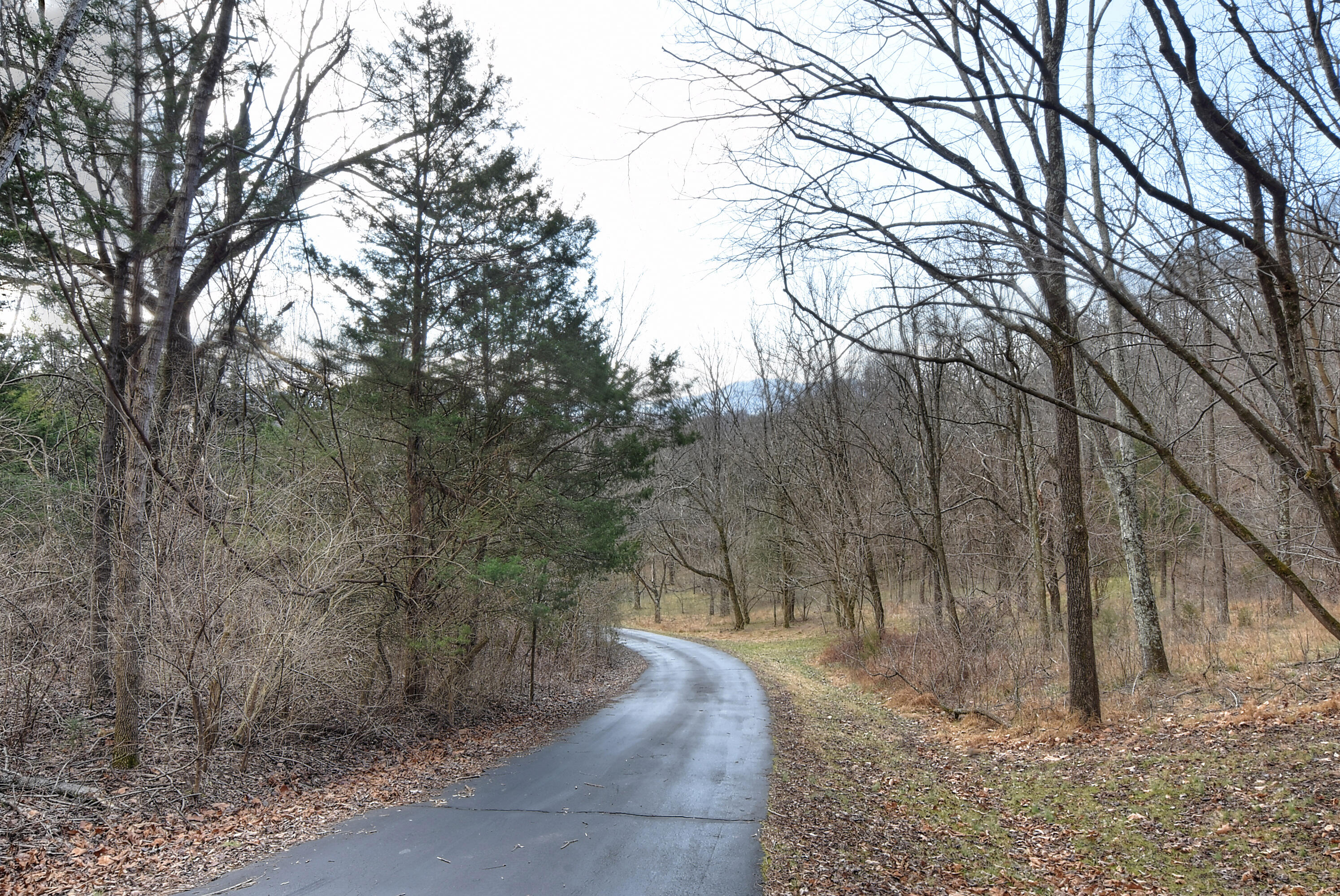 303 Dalewood Road Johnson City, TN 37601 - Photo 72 of 100 DSC_0694_5_6_7_8_9