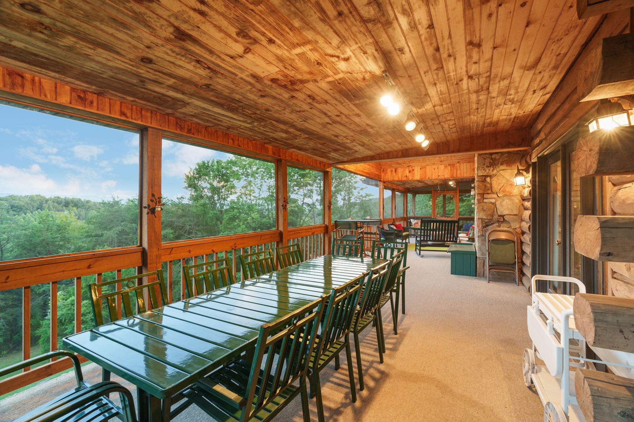 303 Dalewood Road Johnson City, TN 37601 - Photo 88 of 100 56-web-or-mls-DSC07537