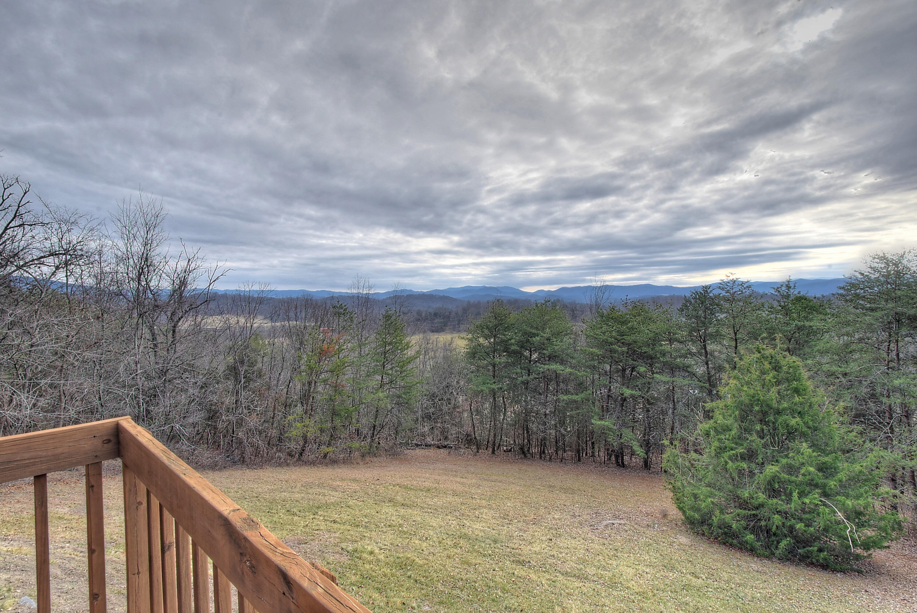 303 Dalewood Road Johnson City, TN 37601 - Photo 9 of 100 9