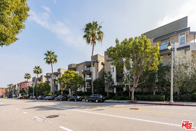 a palm tree in front of a building
