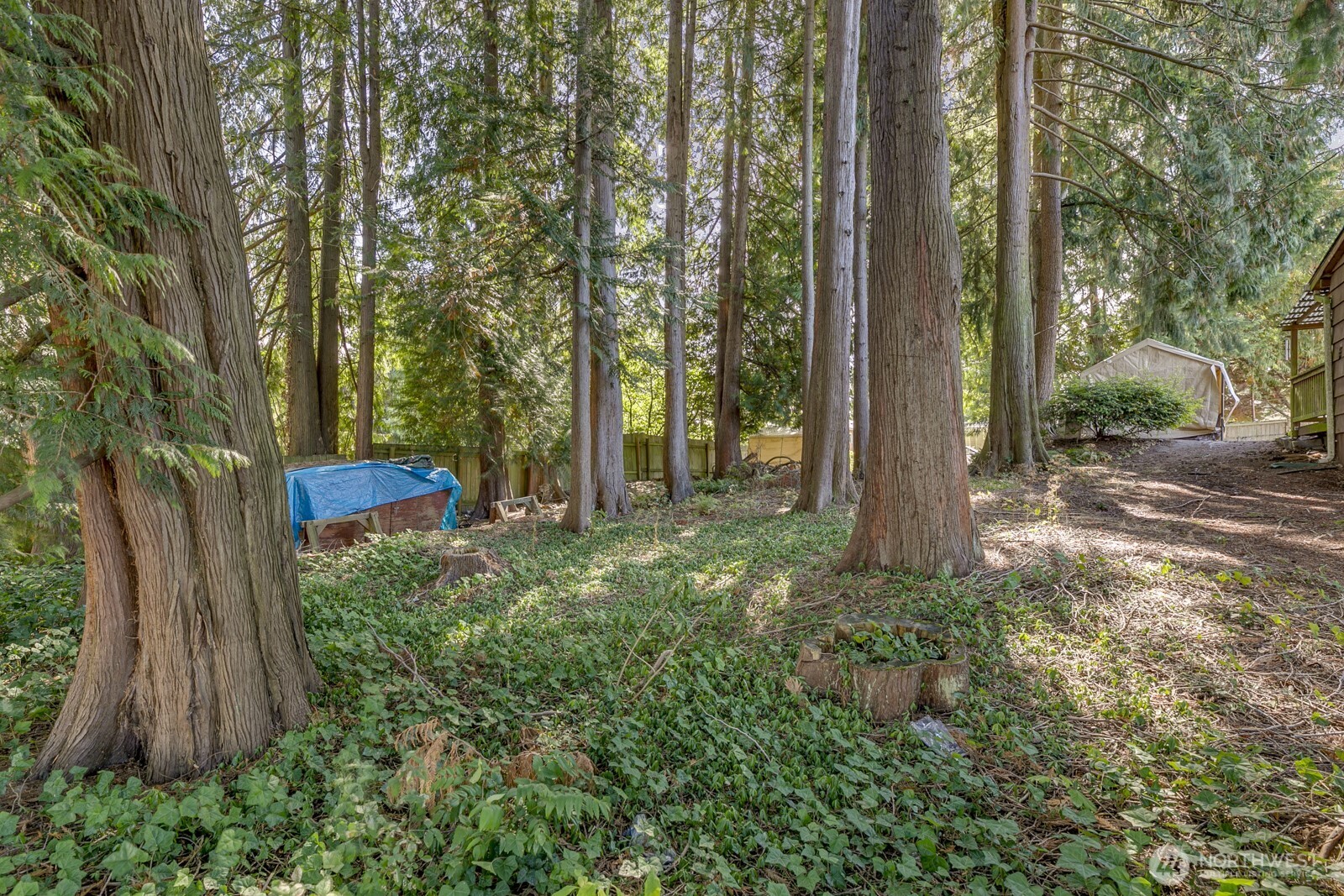 2324 Madison Street Everett, WA 98203 - Photo 10 of 12 Gallery Image 10