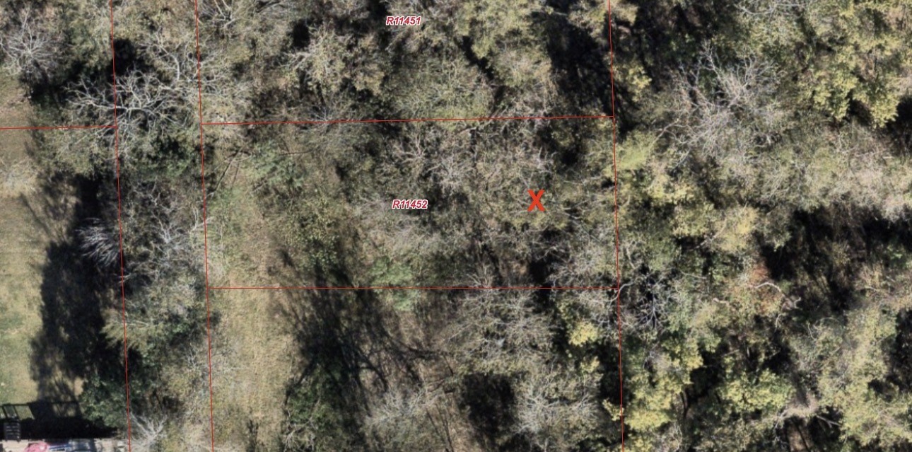 Tbd 6th Street Rosenberg, TX 77471 - Photo 4 of 4 a close up of a tree