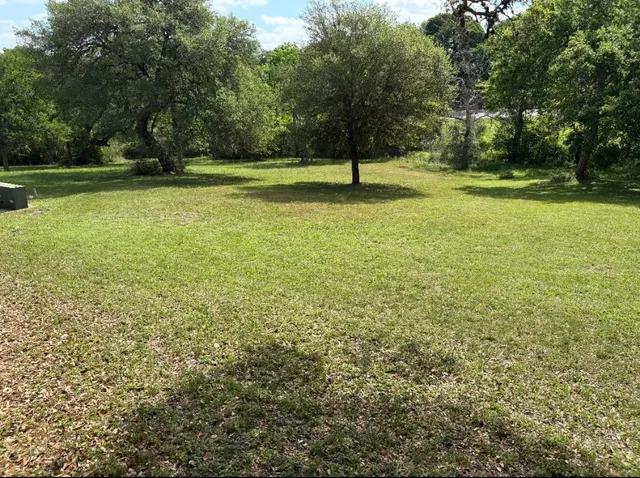a view of a field with a tree