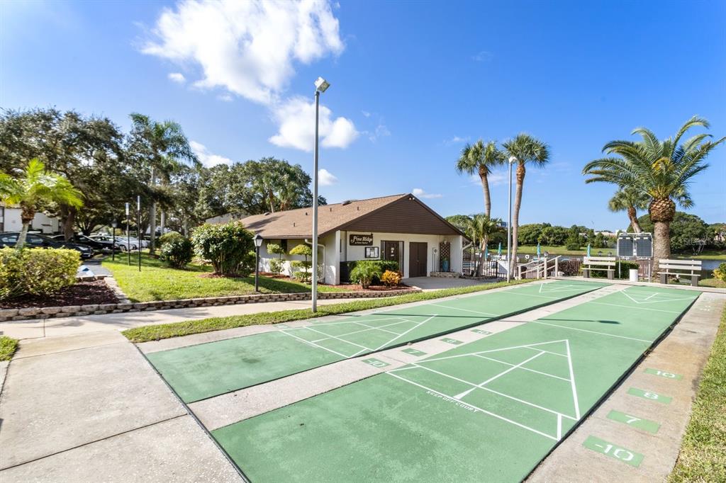 2522 Pine Ridge Way South, Unit D2 Palm Harbor, FL 34684 - Photo 32 of 38