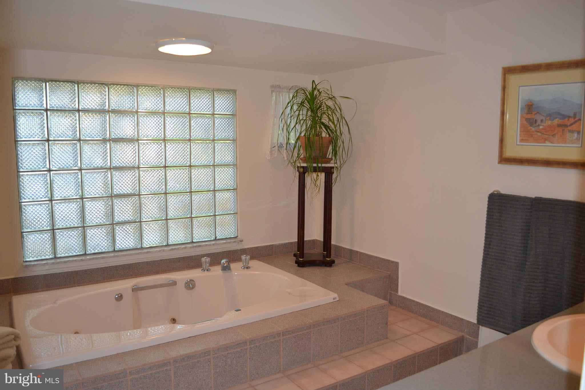 6229 Long Point Road Neavitt, MD 21652 - Photo 23 of 30 Bath (Master)