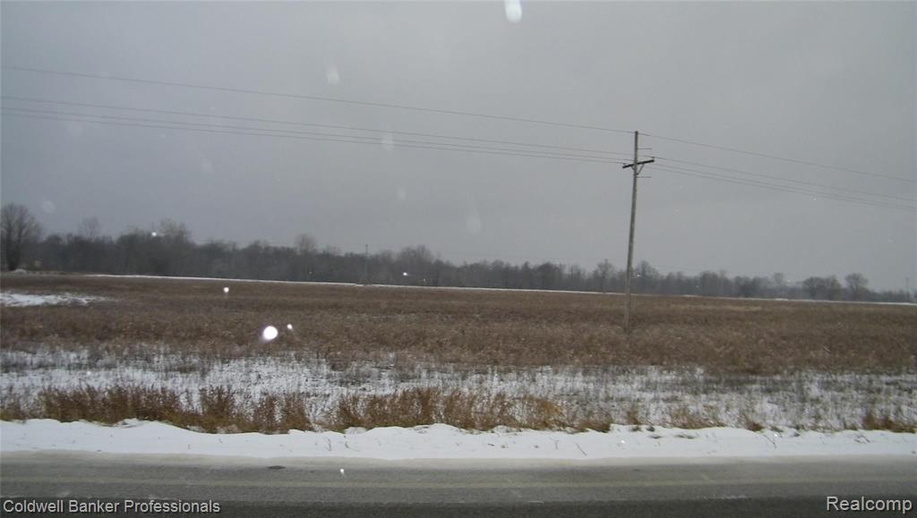 Parcel D Lake Pleasant Road North Branch, MI 48461 - Photo 2 of 4 Gallery Image 2