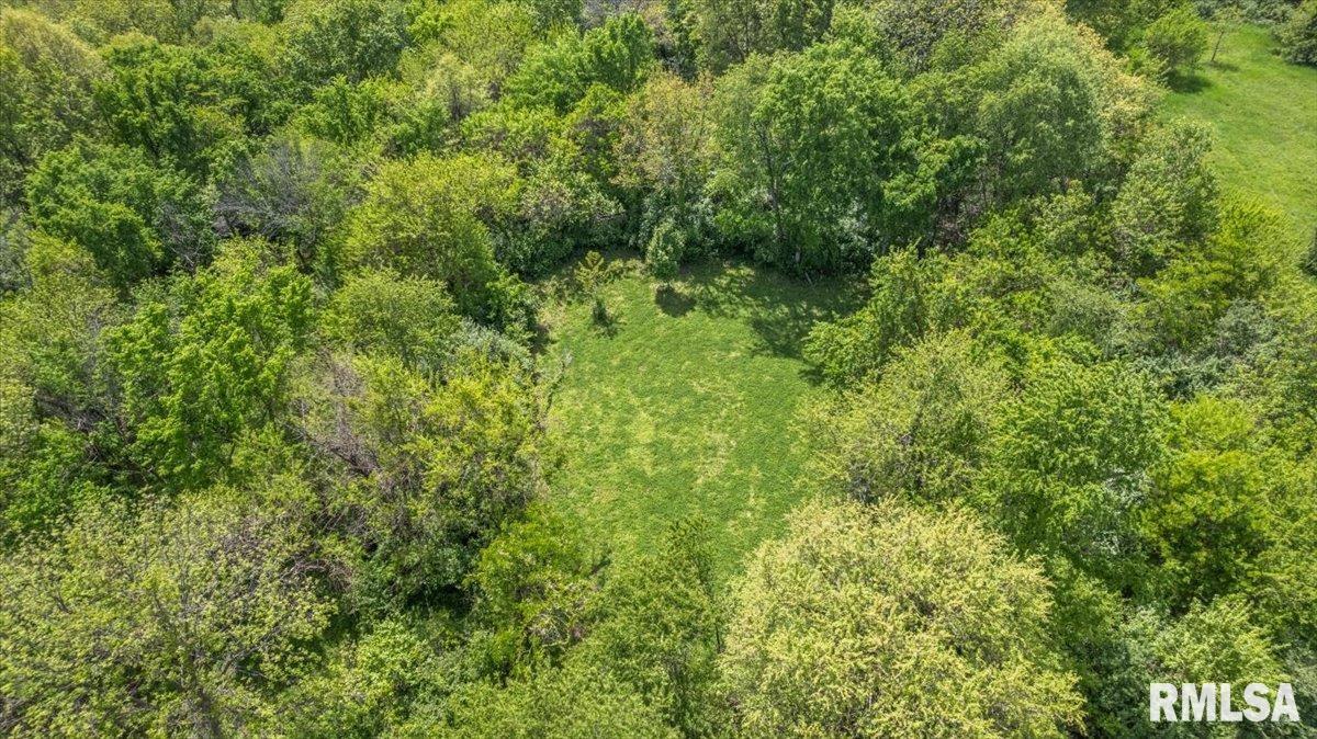 4231 Stone Road Springfield, IL 62707 - Photo 69 of 85