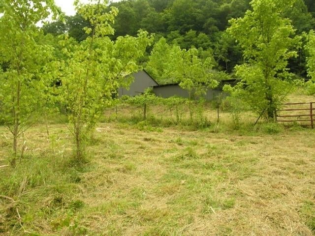 42 Johnson Heights Road West Hamlin, WV 25571 - Photo 20 of 32 Gallery Image 20