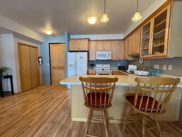 $295,000 | 1401 North Lakeshore Drive, Unit 209, Lake City, MN 55041