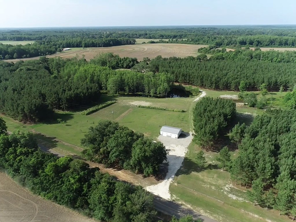 3876 D D Hodge Road Cottonwood, AL 36320 - Photo 35 of 48