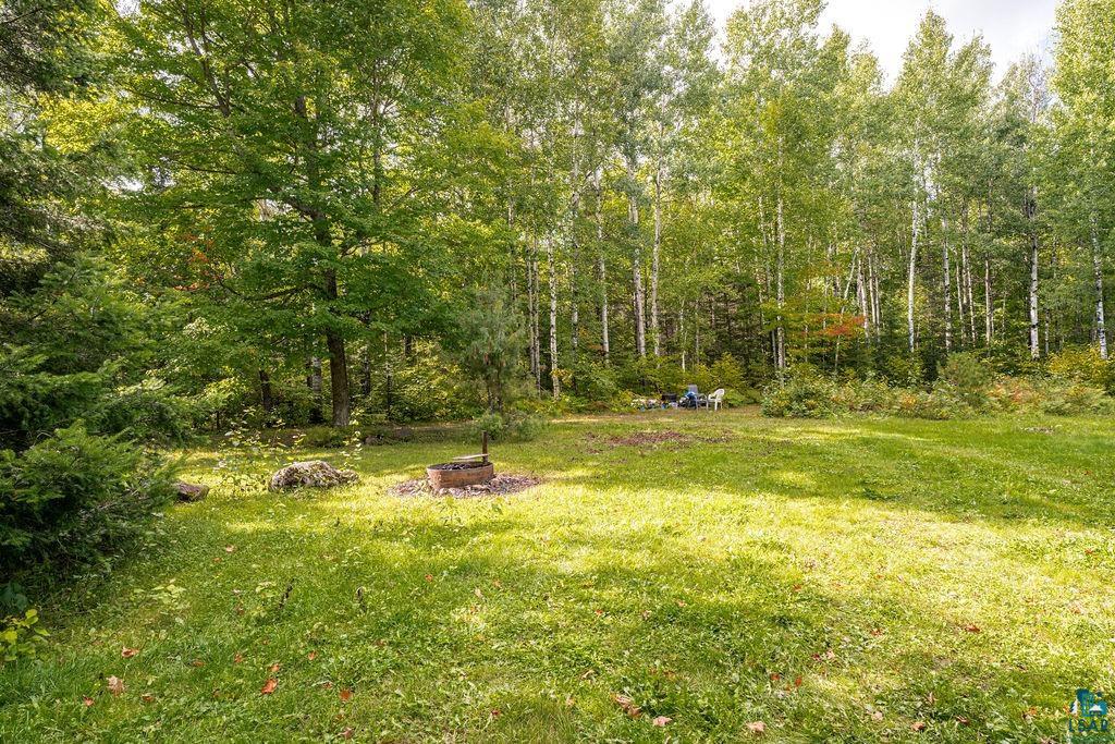 1159 Wales Road Two Harbors, MN 55616 - Photo 19 of 29 Expansive natural setting featuring a clearing, fire pit, and surrounding mature trees