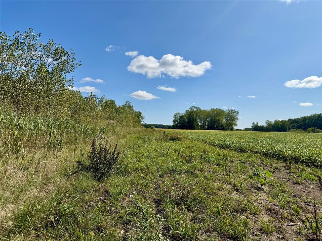 V/l Cade Road Capac, MI 48014 - Photo 29 of 43 Gallery Image 29