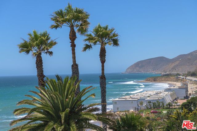 a view of a flower in a yard with a fountain
