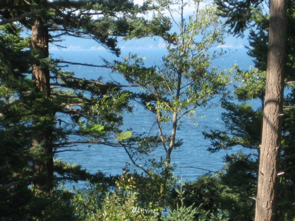 834 Briar Road Bellingham, WA 98225 - Photo 1 of 4