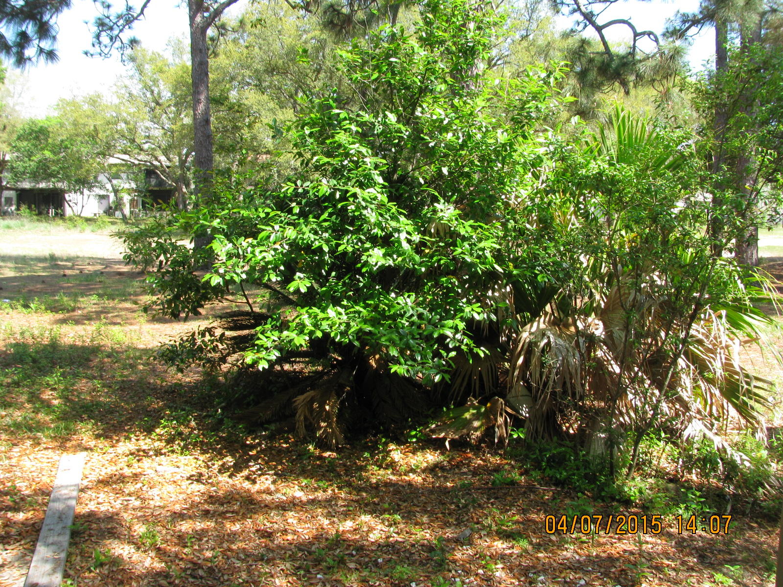 40 11th Street, Unit 91 Shalimar, FL 32579 - Photo 3 of 30