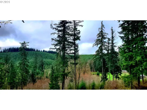 $220,000 | Viewcrest Drive, Warren, OR 97053