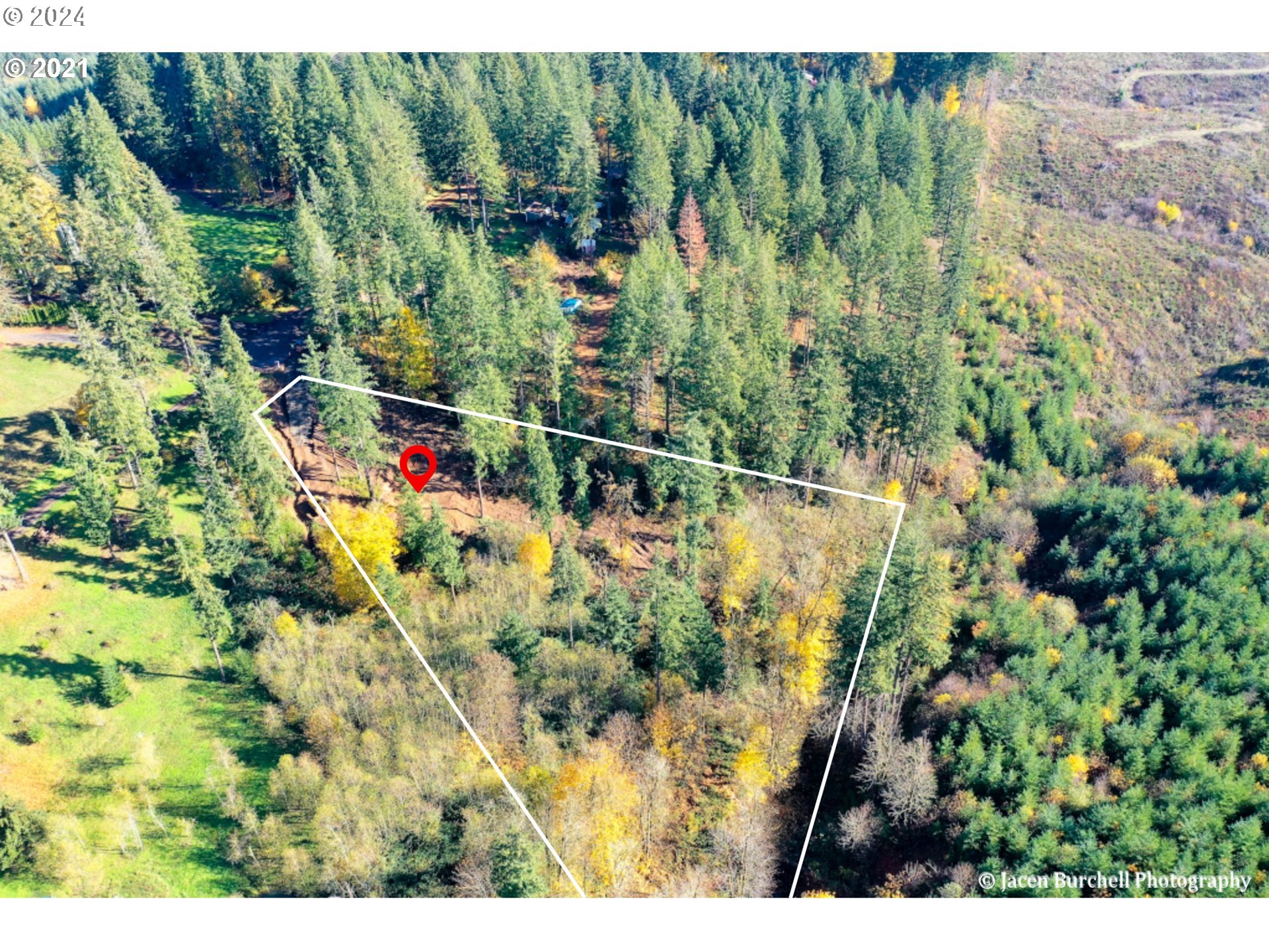 Viewcrest Drive Warren, OR 97053 - Photo 5 of 7 a view of a yard with a tree