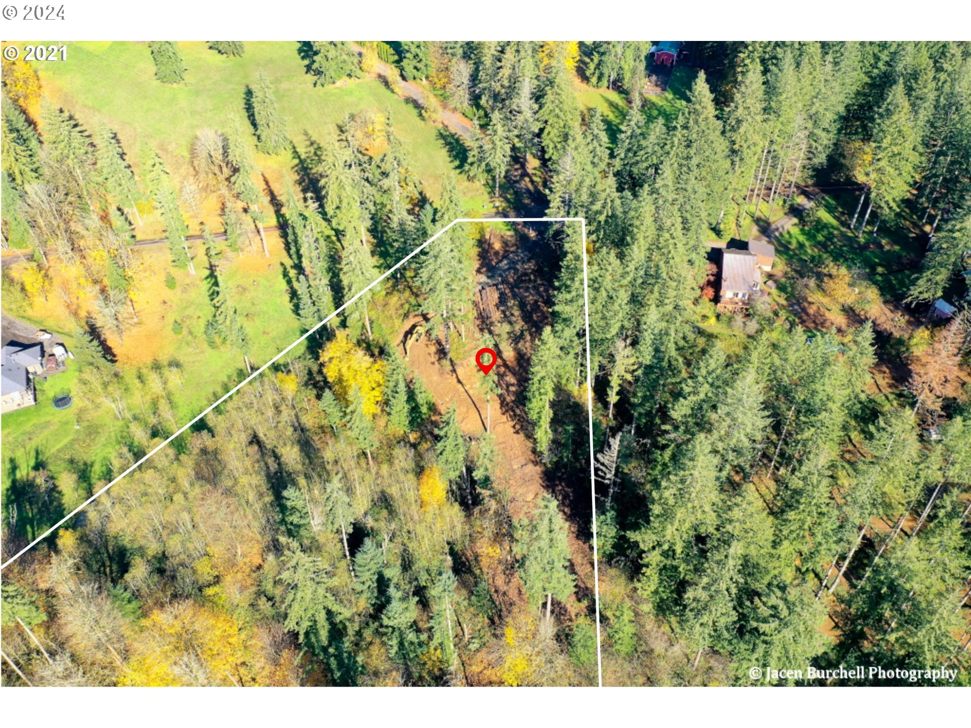 Viewcrest Drive Warren, OR 97053 - Photo 6 of 7 a view of a yard with a tree