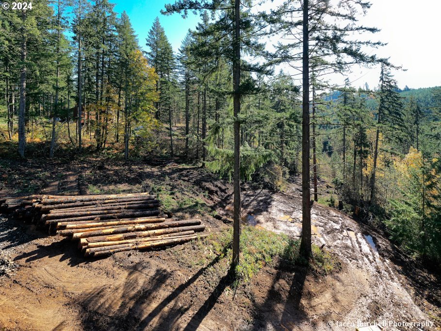 Viewcrest Drive Warren, OR 97053 - Photo 7 of 7 a backyard of a house with lots of green space