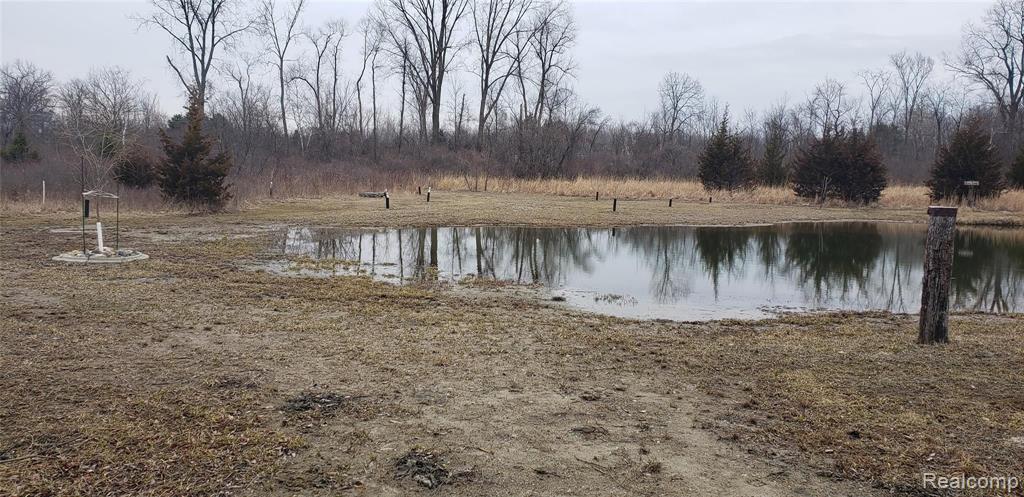 0 Washburn Road Millington, MI 48746 - Photo 49 of 61