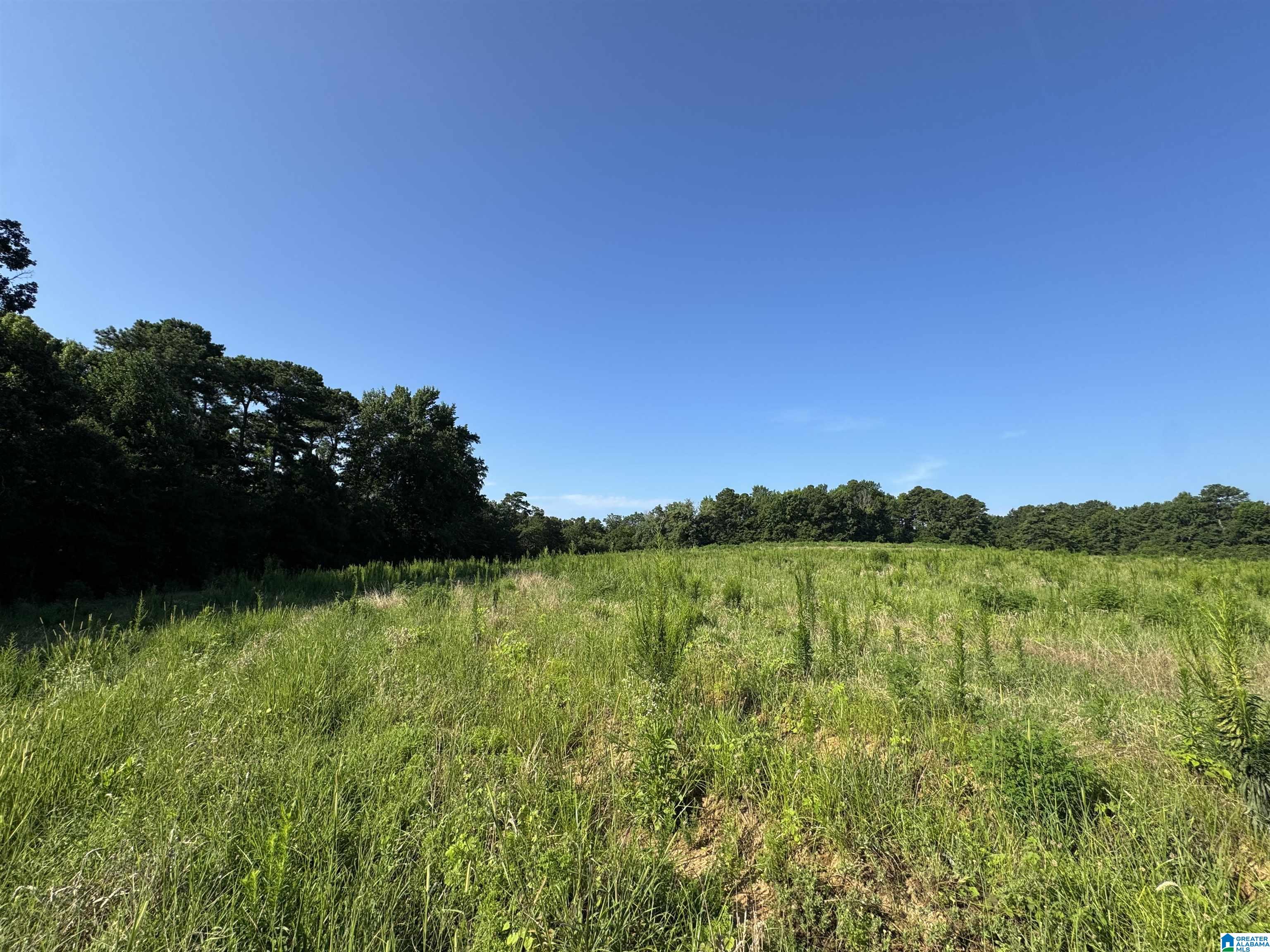 0 County Highway 27, Unit 47 Springville, AL 35146 - Photo 18 of 53