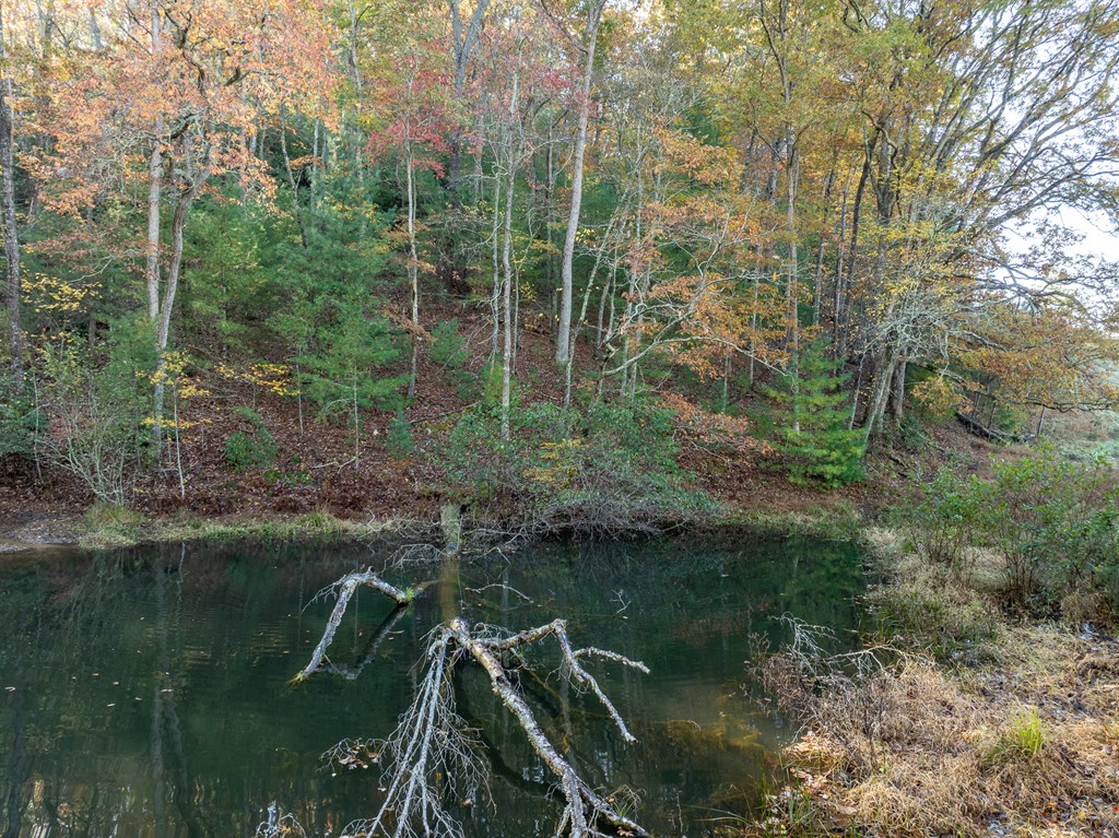 336 Old Skeenah Gap Road Suches, GA 30572 - Photo 15 of 81