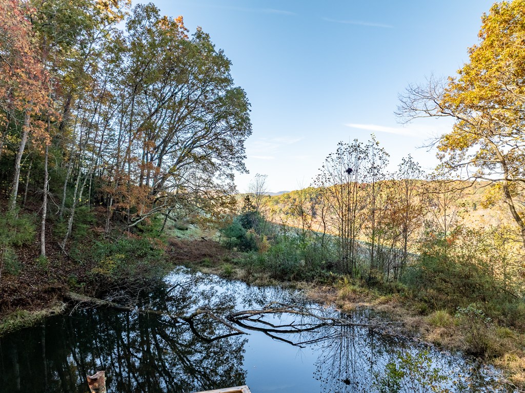 336 Old Skeenah Gap Road Suches, GA 30572 - Photo 16 of 81