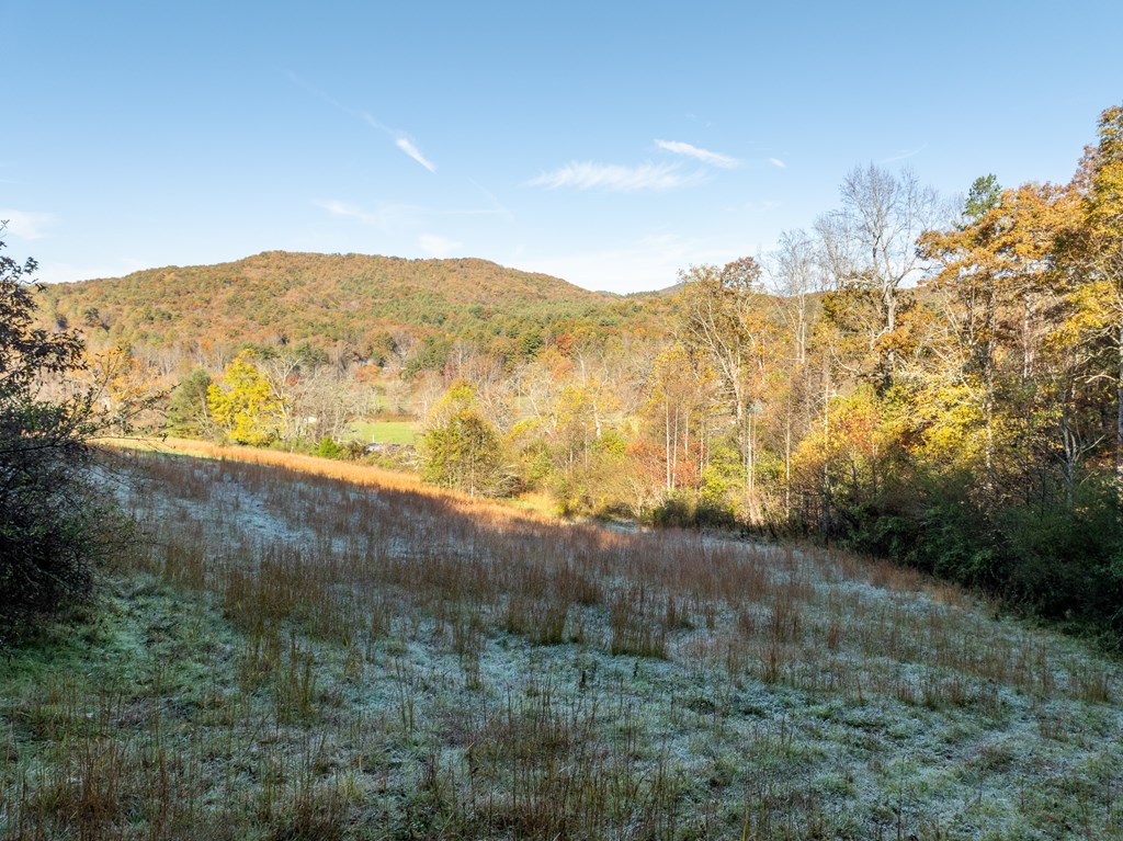 336 Old Skeenah Gap Road Suches, GA 30572 - Photo 19 of 81 a view of mountain with lake view