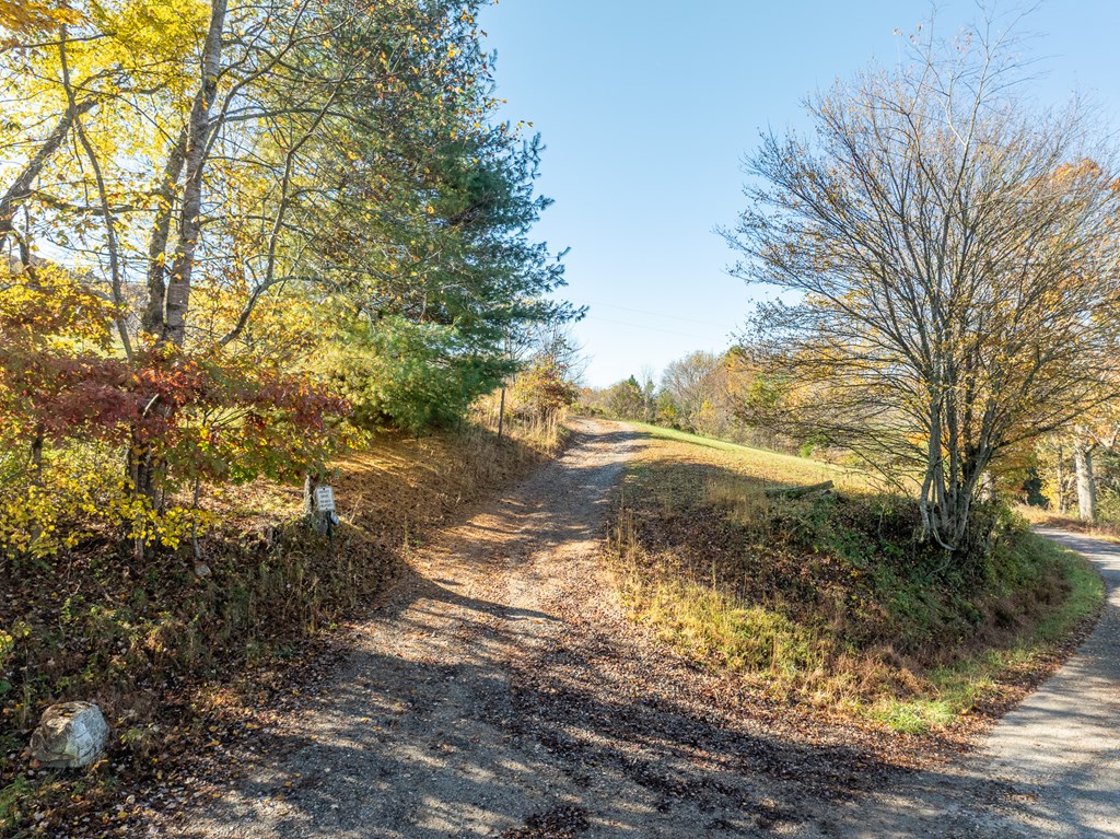 336 Old Skeenah Gap Road Suches, GA 30572 - Photo 20 of 81 a view of a yard with trees