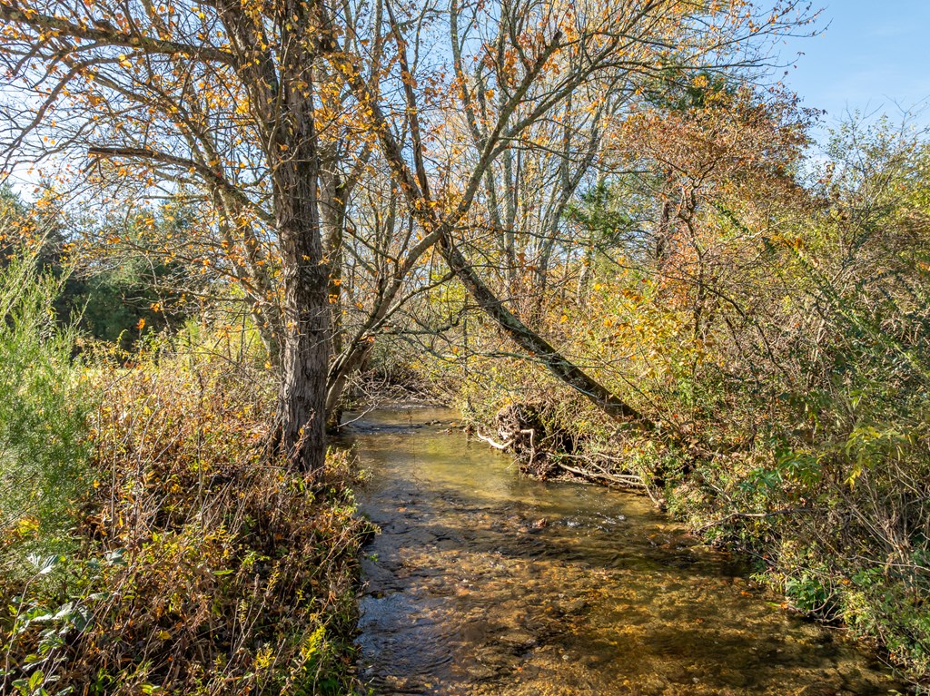 336 Old Skeenah Gap Road Suches, GA 30572 - Photo 24 of 81 a view of yard covered with snow