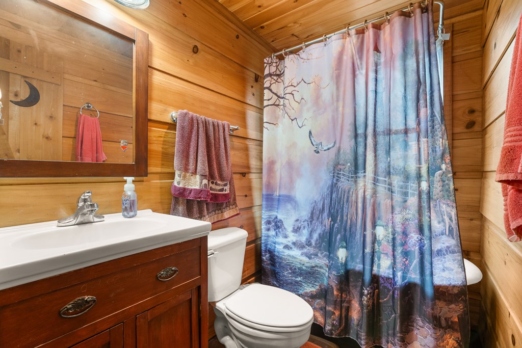 336 Old Skeenah Gap Road Suches, GA 30572 - Photo 49 of 81 a bathroom with a sink a toilet and shower curtain
