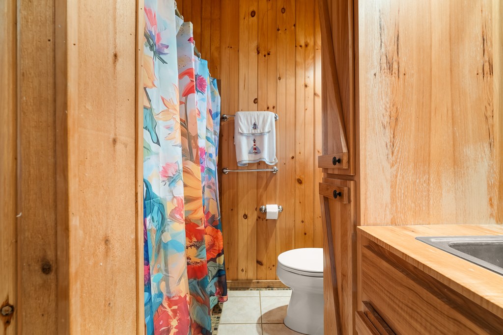 336 Old Skeenah Gap Road Suches, GA 30572 - Photo 69 of 81 a bathroom with a toilet and a shower curtain
