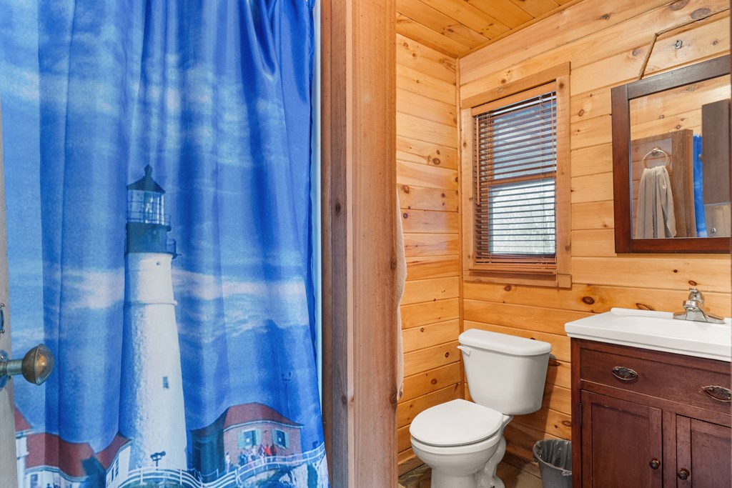 336 Old Skeenah Gap Road Suches, GA 30572 - Photo 72 of 81 a bathroom with a sink and a toilet