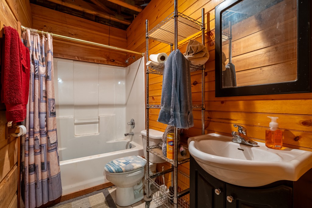 336 Old Skeenah Gap Road Suches, GA 30572 - Photo 73 of 81 a bathroom with a sink and a toilet
