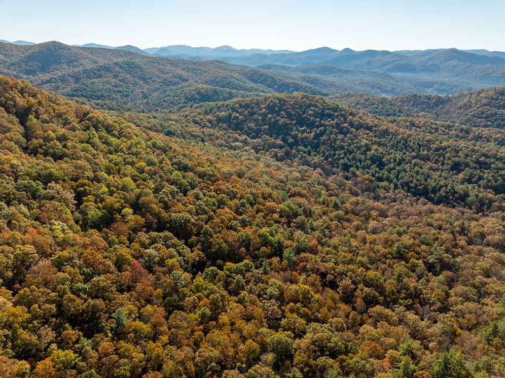 336 Old Skeenah Gap Road Suches, GA 30572 - Photo 8 of 81 a view of a lush green hillside and a houses