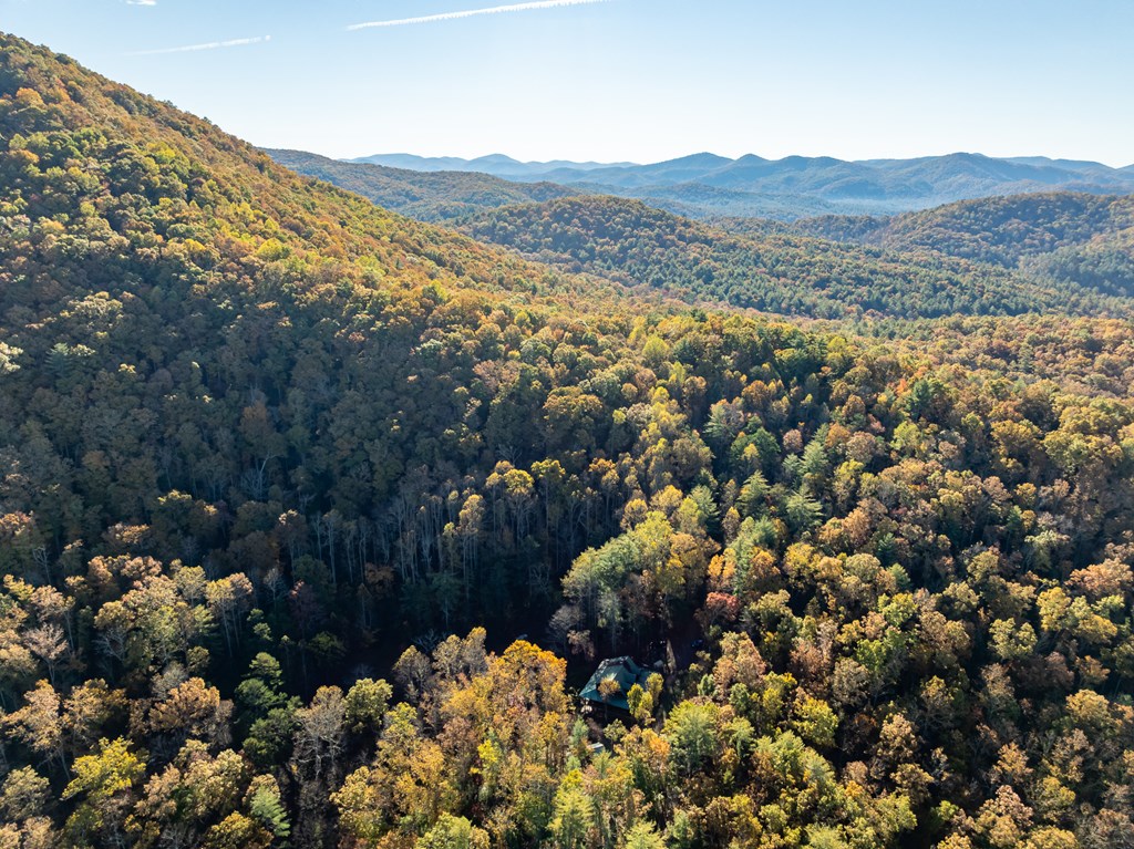 336 Old Skeenah Gap Road Suches, GA 30572 - Photo 9 of 81