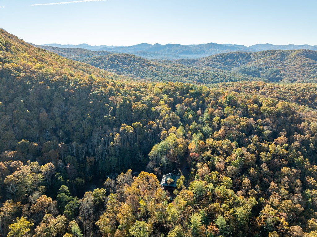 336 Old Skeenah Gap Road Suches, GA 30572 - Photo 10 of 81