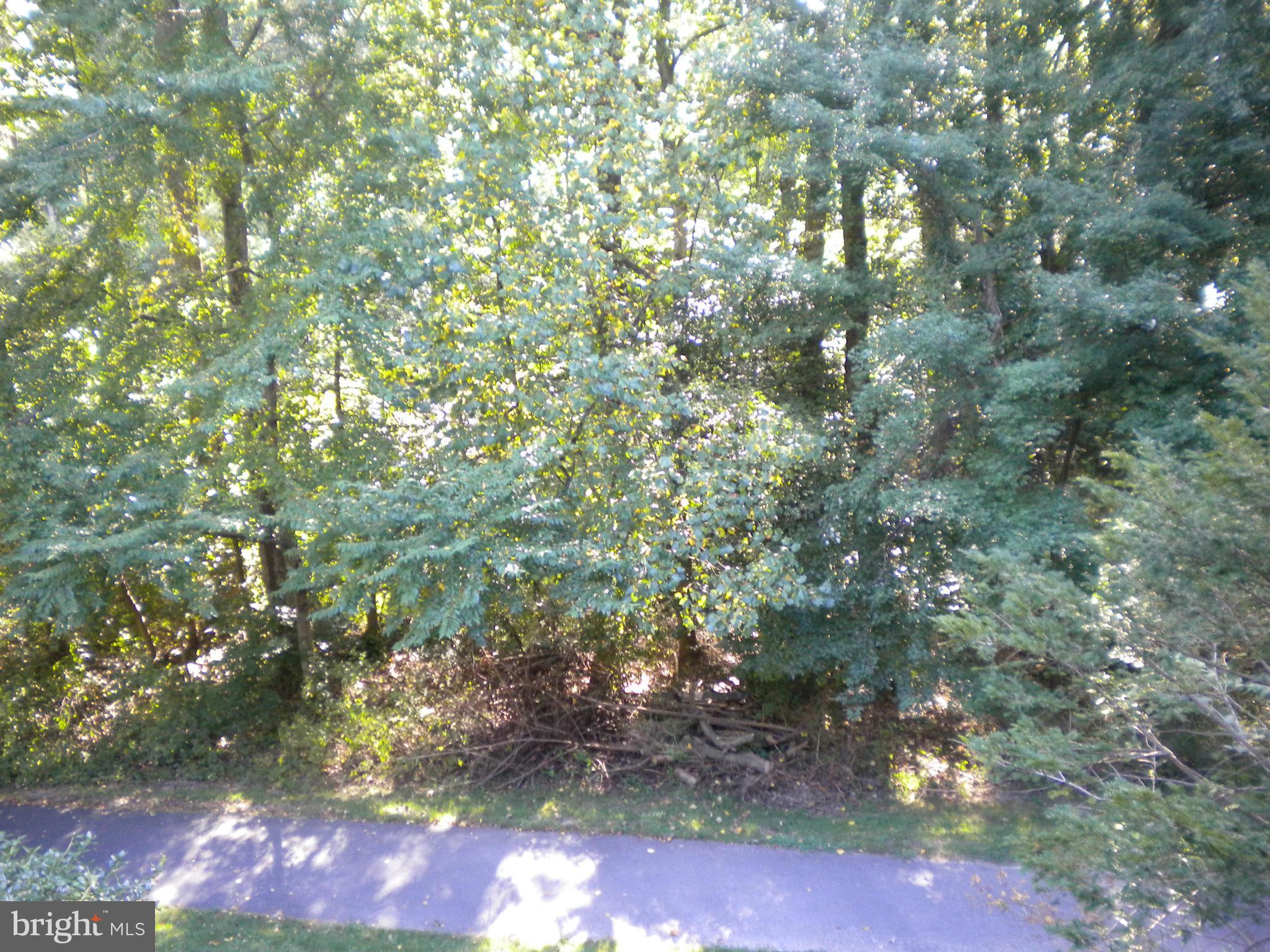 2266 Wheelwright Court Reston, VA 20191 - Photo 11 of 12 a view of street with yard