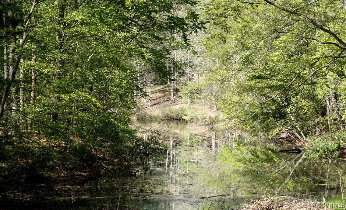 Undisclosed Address Aylett, VA 23009 - Photo 33 of 36 a close up of a tree