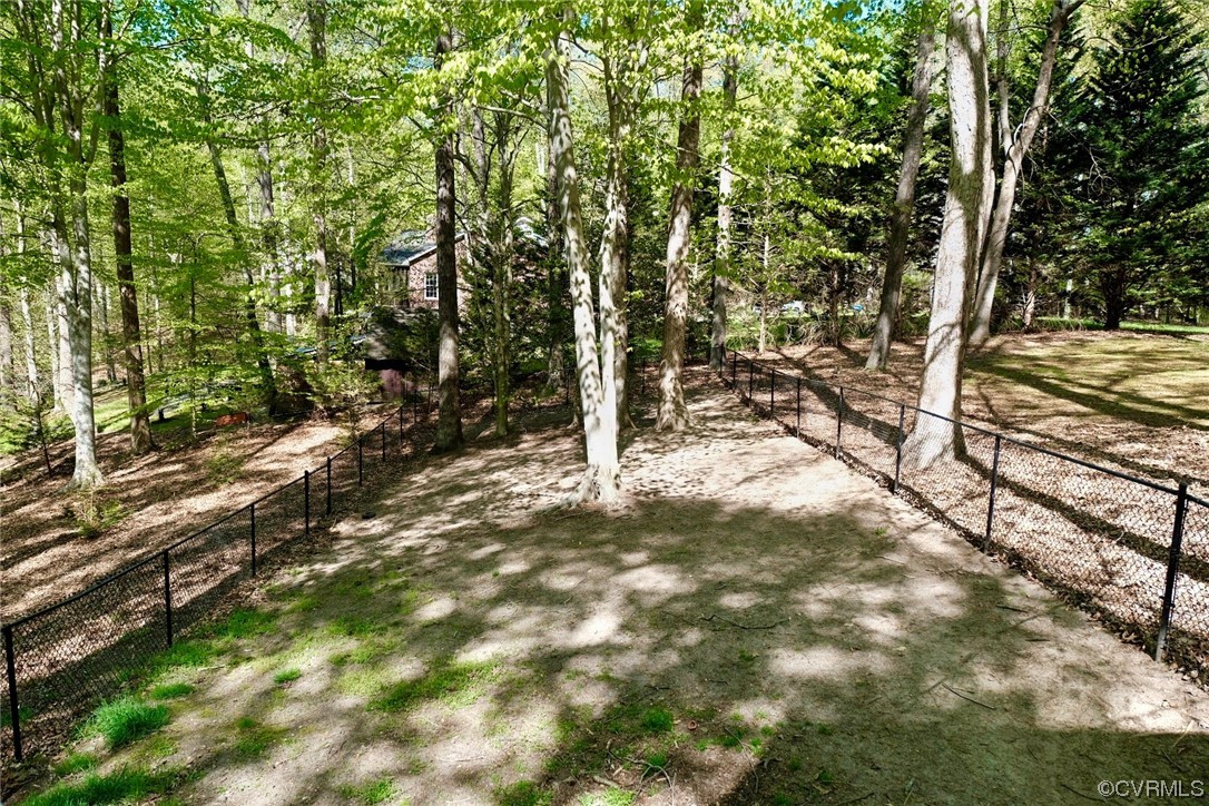 Undisclosed Address Aylett, VA 23009 - Photo 34 of 36 a view of a yard with plants and trees