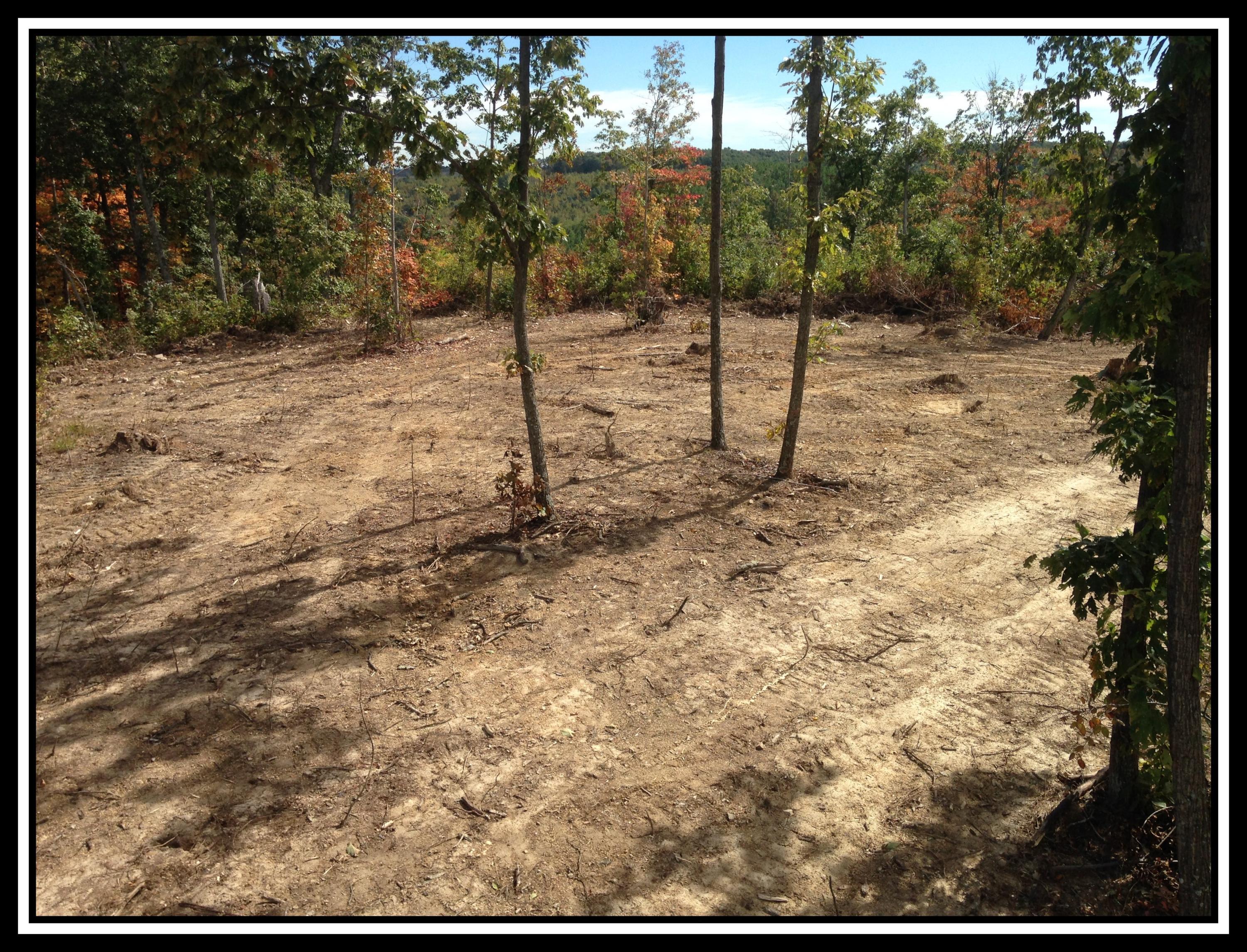 5138 Rarden-Hazelbaker Hill Road Otway, OH 45657 - Photo 18 of 19 Gallery Image 18