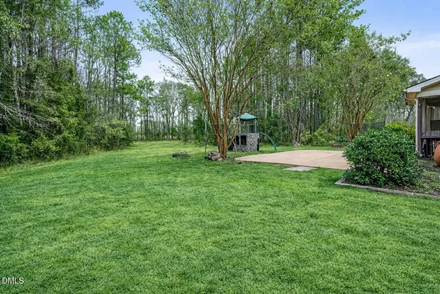 a small garden with a tree in the back