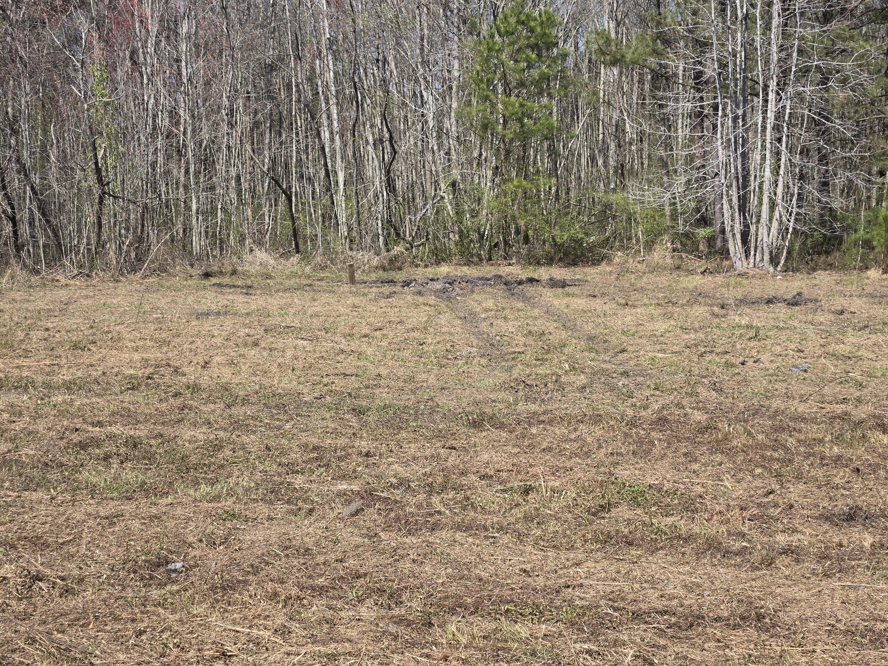 0 Drain Road Smoaks, SC 29481 - Photo 1 of 4