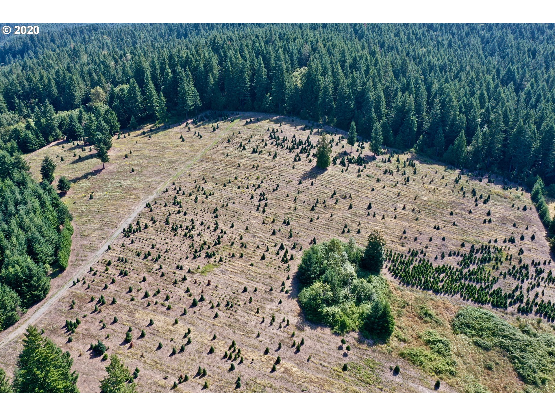 20820 South Reynolds Road Colton, OR 97017 - Photo 7 of 32