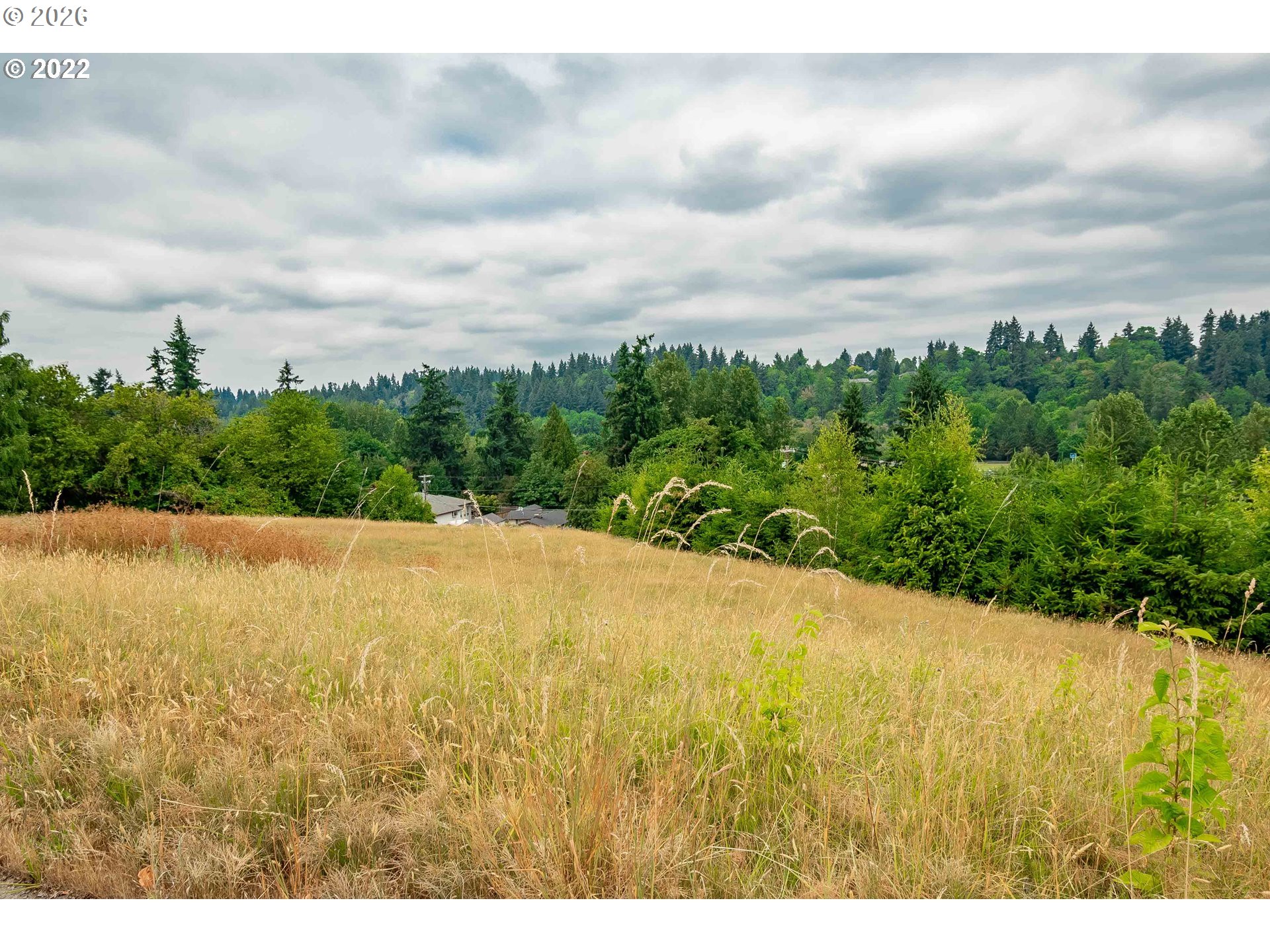 317 Northeast Bassel Road Vancouver, WA 98685 - Photo 17 of 21