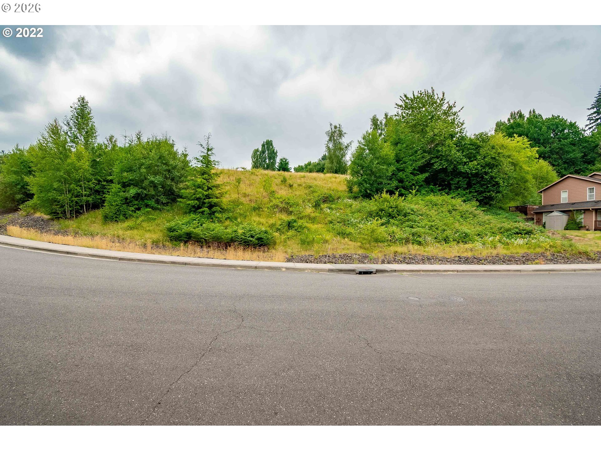 317 Northeast Bassel Road Vancouver, WA 98685 - Photo 4 of 21 a view of a yard